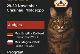 Мы приняли участие в Международной выставке кошек "Кубок Молдовы" 29-30 ноября 2025 года